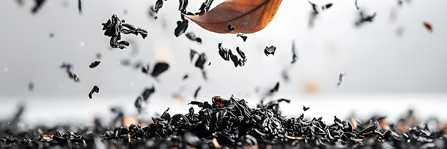 カテゴリーメイン画像